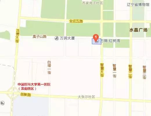 沈阳陆军总院和202是同一个医院吗,沈阳202医院与陆军总院哪个好