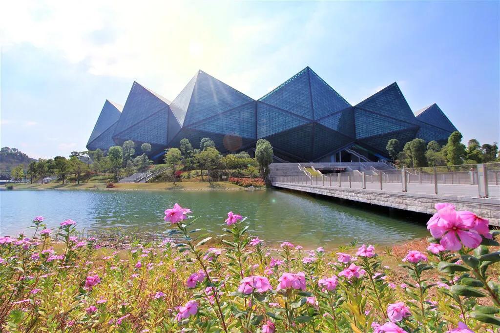 深圳免费公园哪里最好啊,深圳十大免费公园景点大全