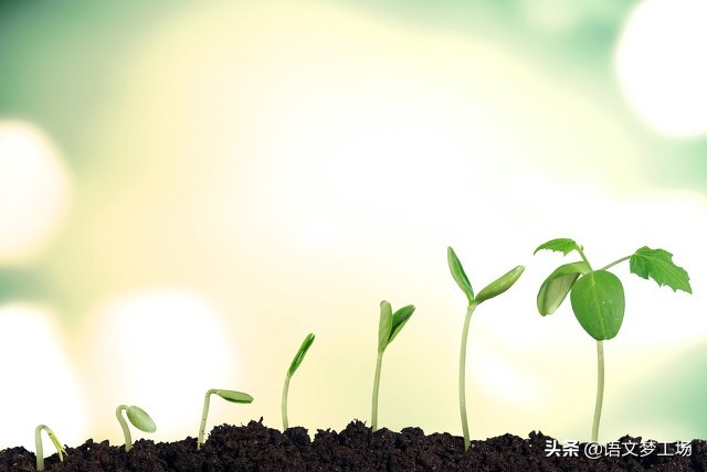 中考作文考前备用主题成长类,成长类作文中考满分作文600字