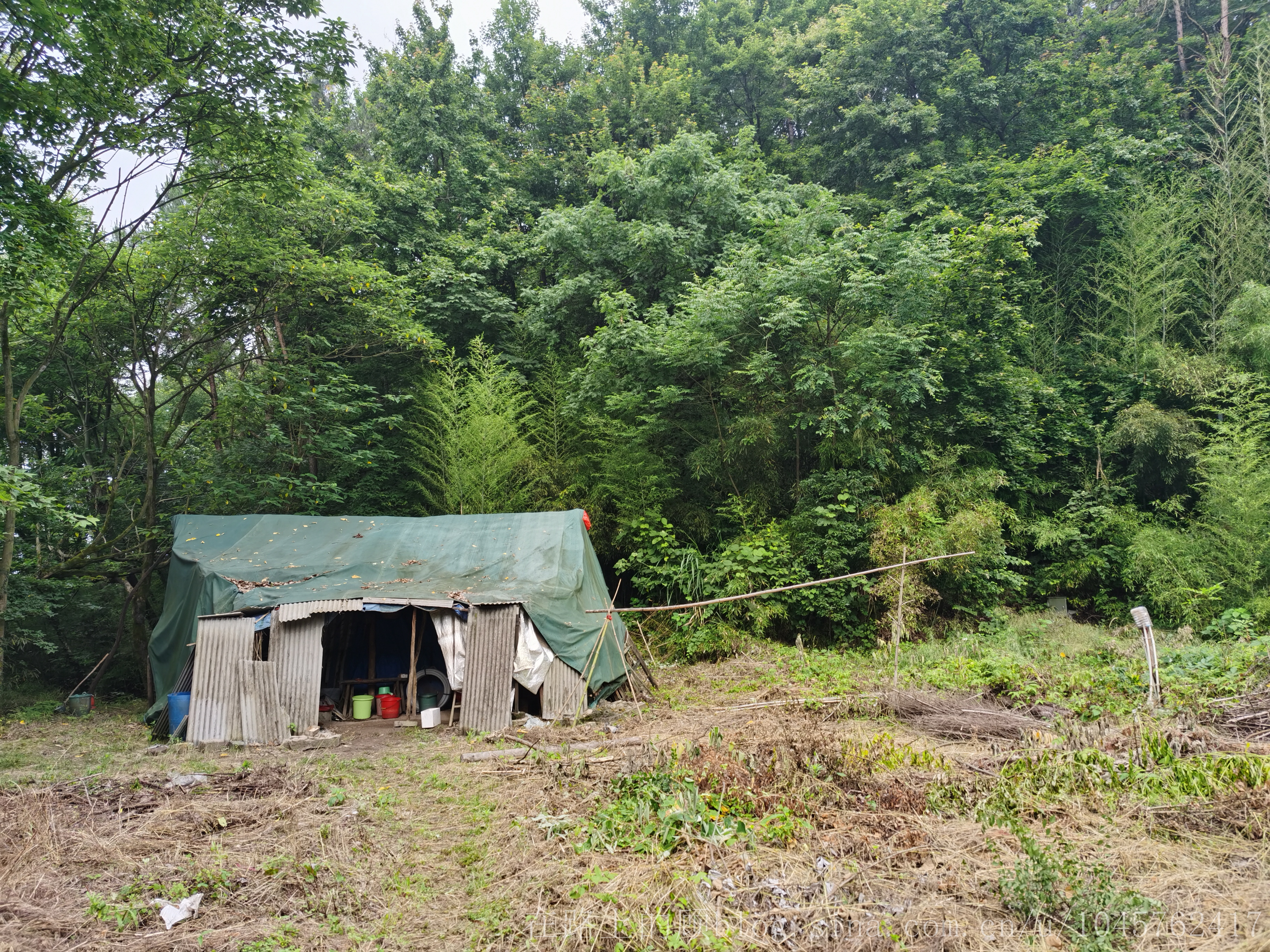 辛丑癸巳建德淳安记