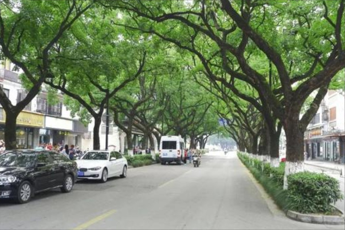 苏州白塔东路属于哪个区,苏州白塔东路在哪