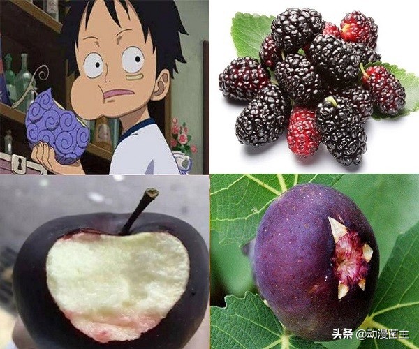 恶魔果实的秘密,神秘恶魔果实到底是哪颗