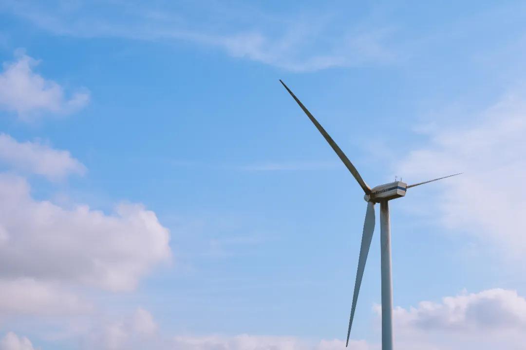 19岁脑瘫学生考623分,脑瘫少年高考623分采访