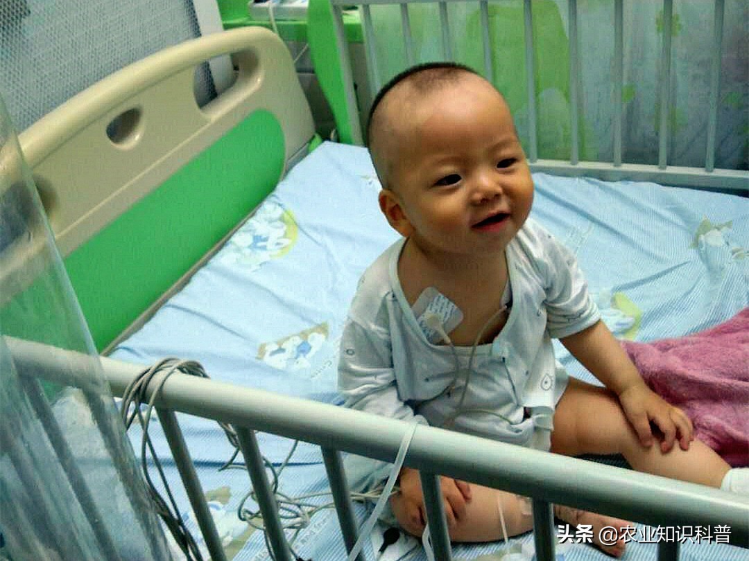 10个多月宝宝得病后续,10岁男孩患重病