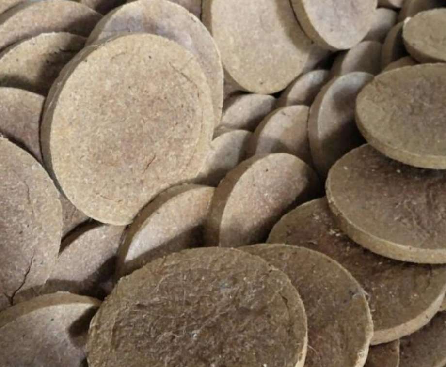 观赏小金鱼几天喂一次食,养的小金鱼可以喂蛋黄吗