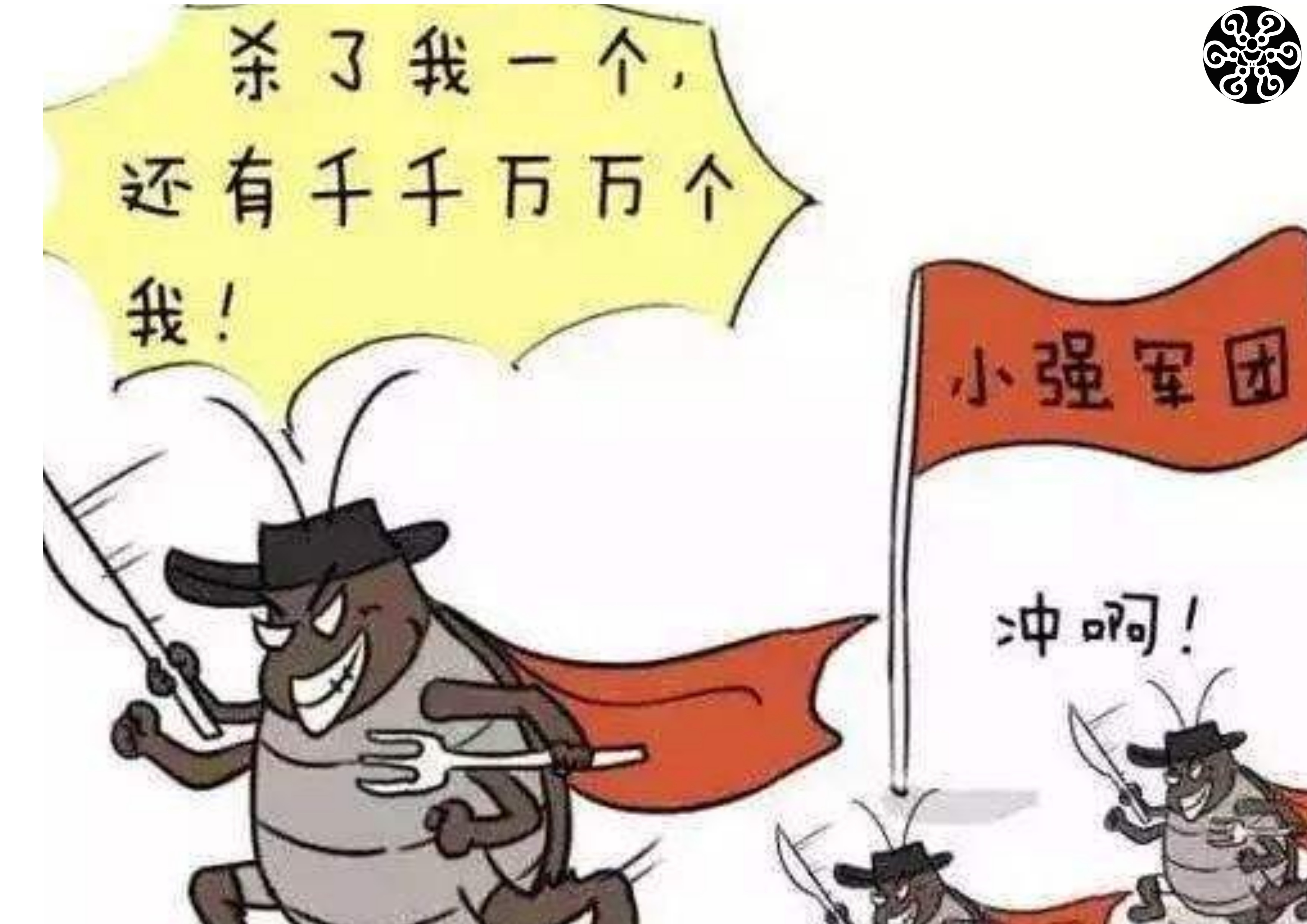 「有事找不怕骂」办公室里有老鼠蟑螂该怎么灭？