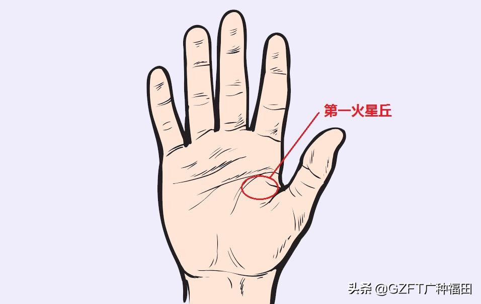 5分钟学会看手相,如何从零开始学会看手相