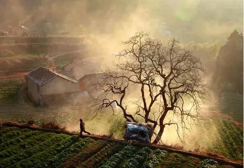 摄影专用题材推荐,初学摄影必备十大题材