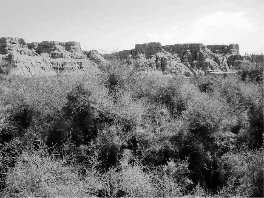 可怕的中毒韩国电影,可怕的中毒图片