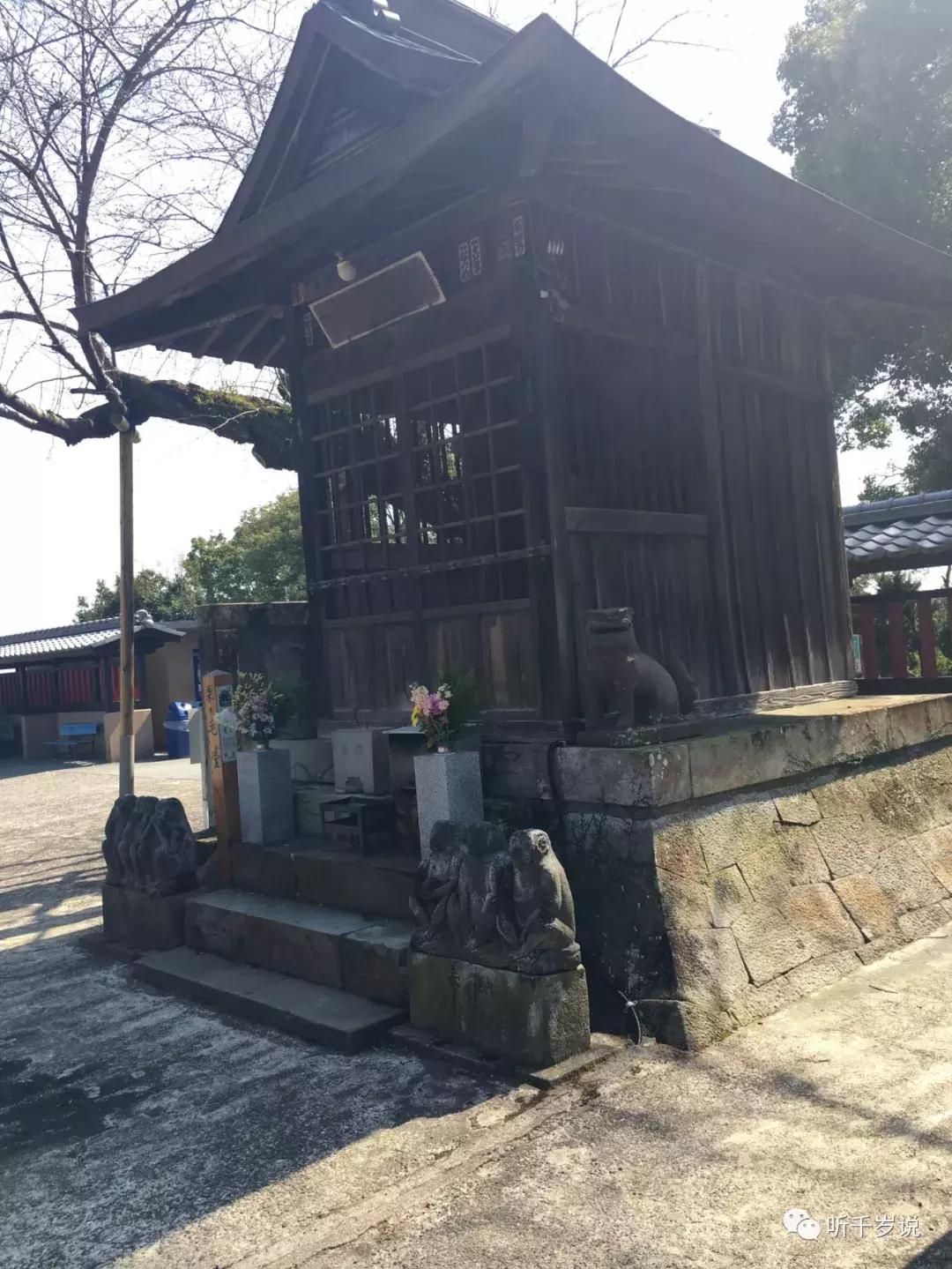 日本东京熊本熊,日本熊本游