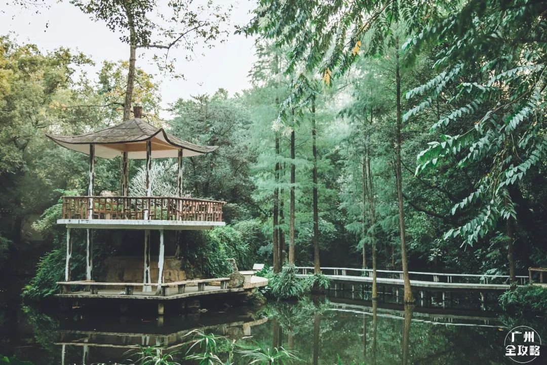 必打卡的宝藏公园,这些宝藏打卡地分分钟让人美到