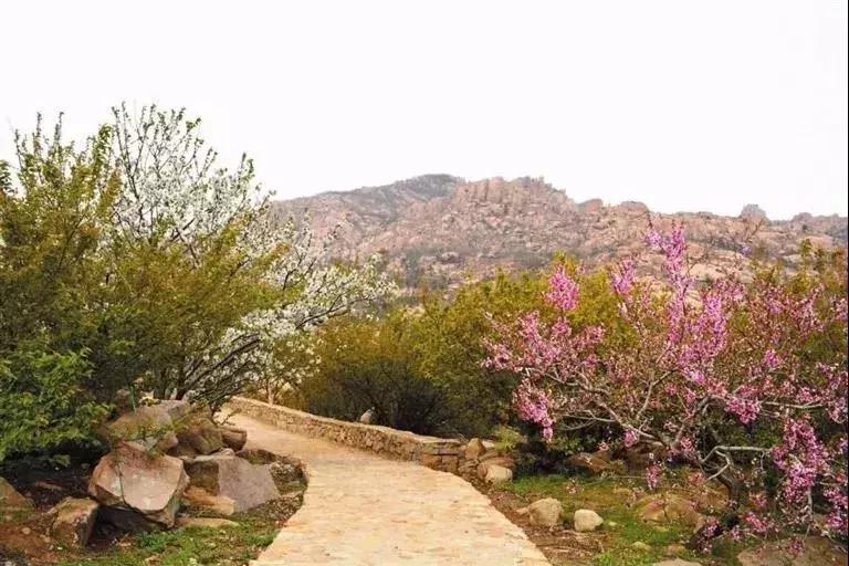 乳山旅游特色村落,山东威海乳山暑假旅游