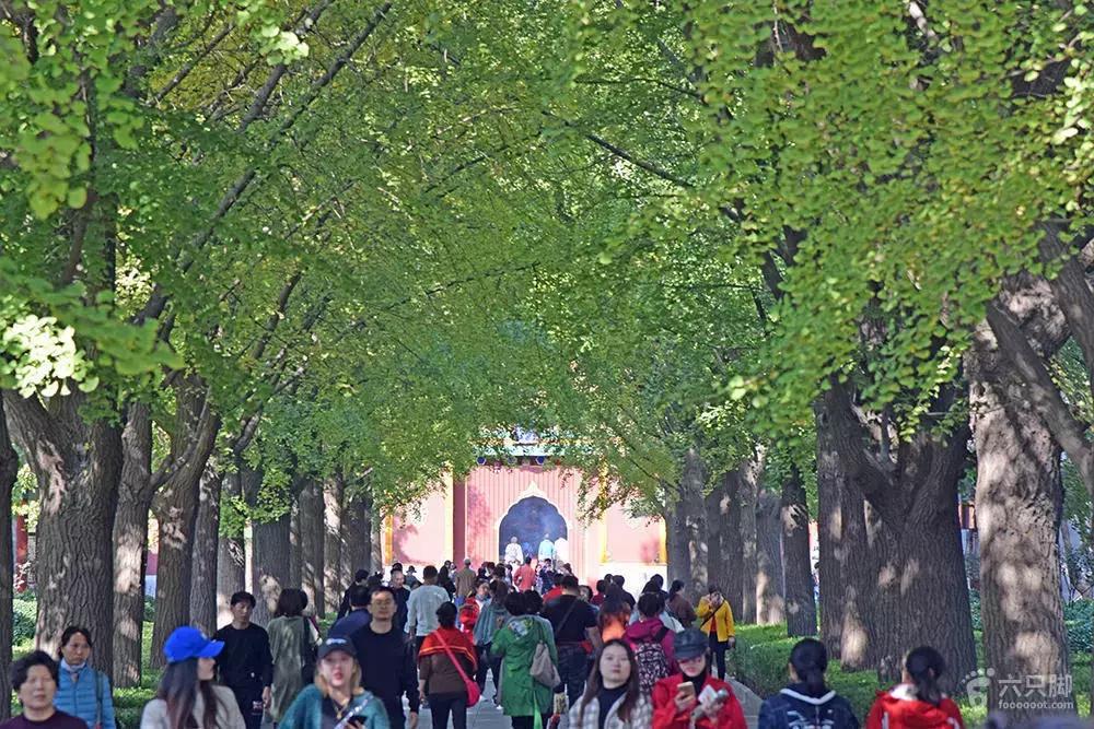 北京九门八点一口钟图片,北京九门八点一口钟