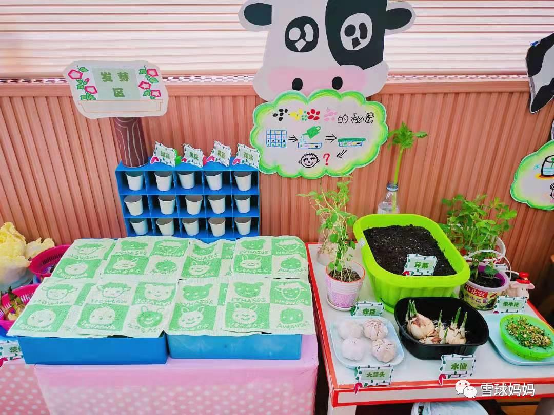 孩子在幼儿园都干啥,小孩儿在幼儿园里干啥