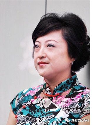 成都学区地图,金牛万达学区划分