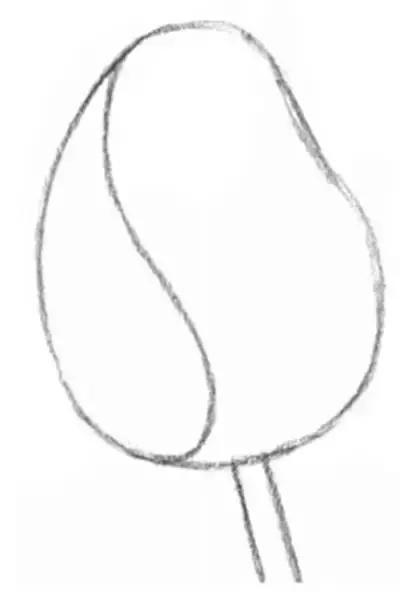 一幅素描玫瑰画如何加彩,玫瑰花束素描图片