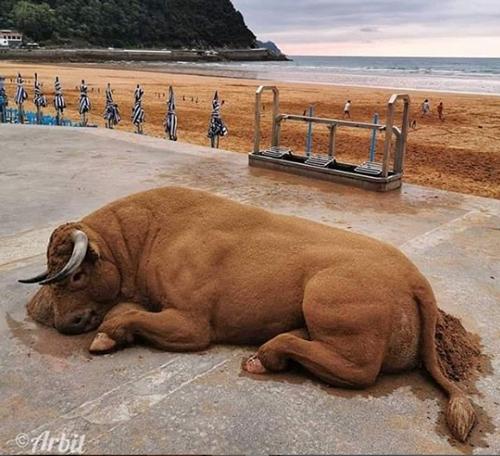 老外沙雕动物视频,外国人沙雕模仿动物