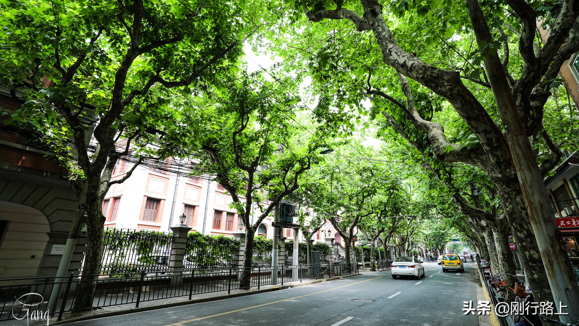 上海拍照打卡地,上海田子坊旅游最佳攻略选择