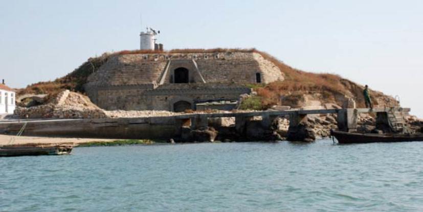 顾厂长所有视频,顾厂长讲话视频