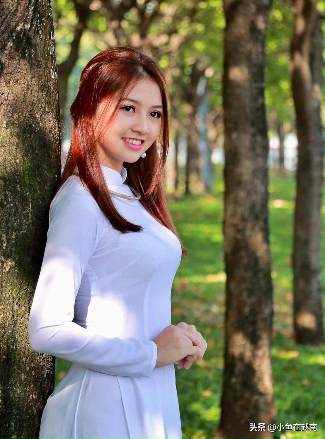 越南签证攻略,在国内办越南签证流程及费用