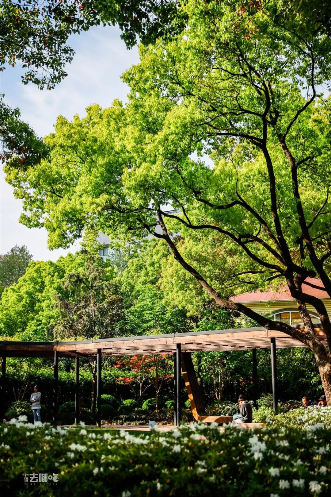 对不起，我要回黄浦了