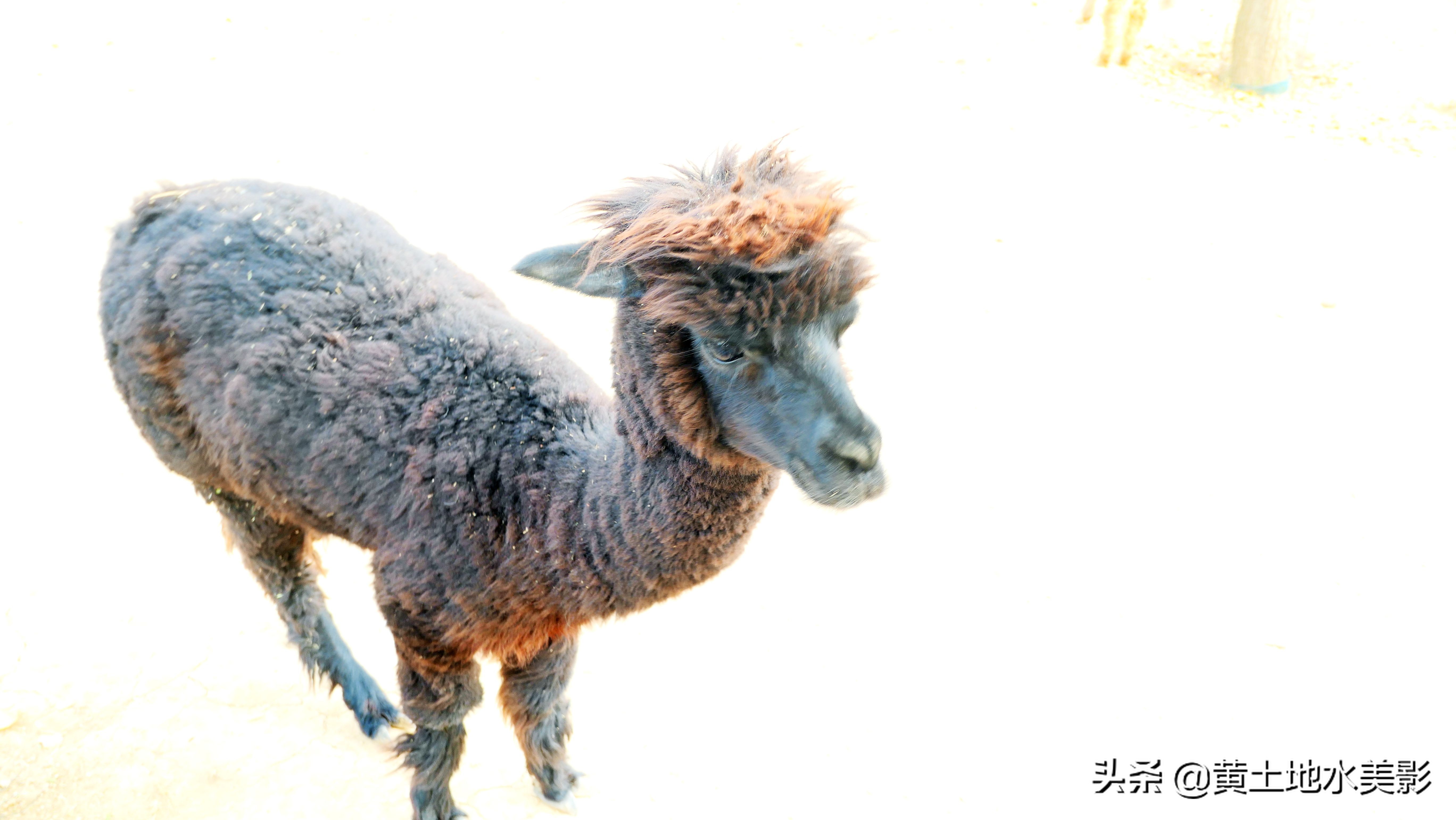 免费游玩东湖公园攻略,游玩国家湿地野鸭湖