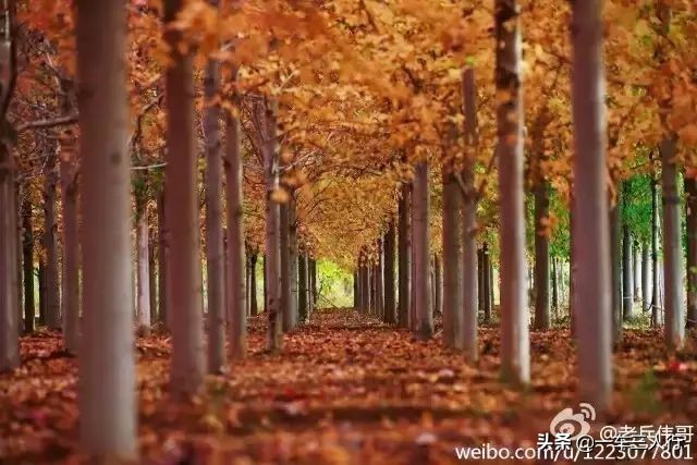 大连有一个蓝色的小城堡景点,大连秋季旅游景点攻略大全