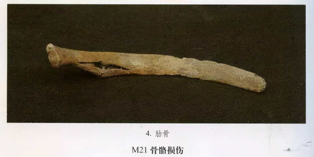 零口姑娘考古视频,零口姑娘全部视频