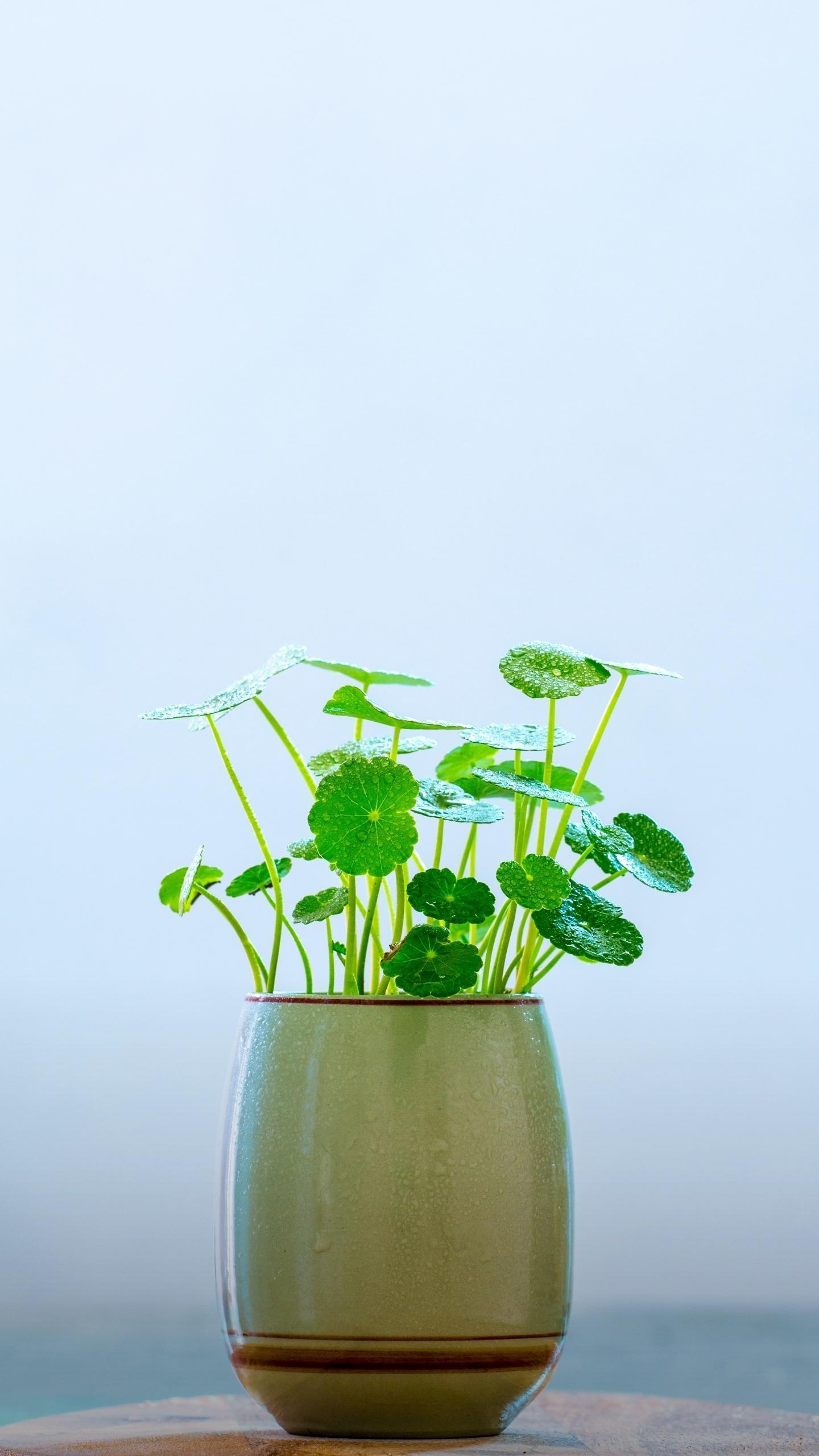 孕期皮肤瘙痒莫大意——带你认识妊娠期肝内胆汁淤积综合征