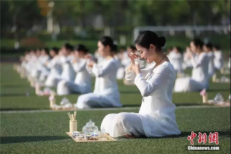 今日白露秋意渐浓,今日白露美句美文