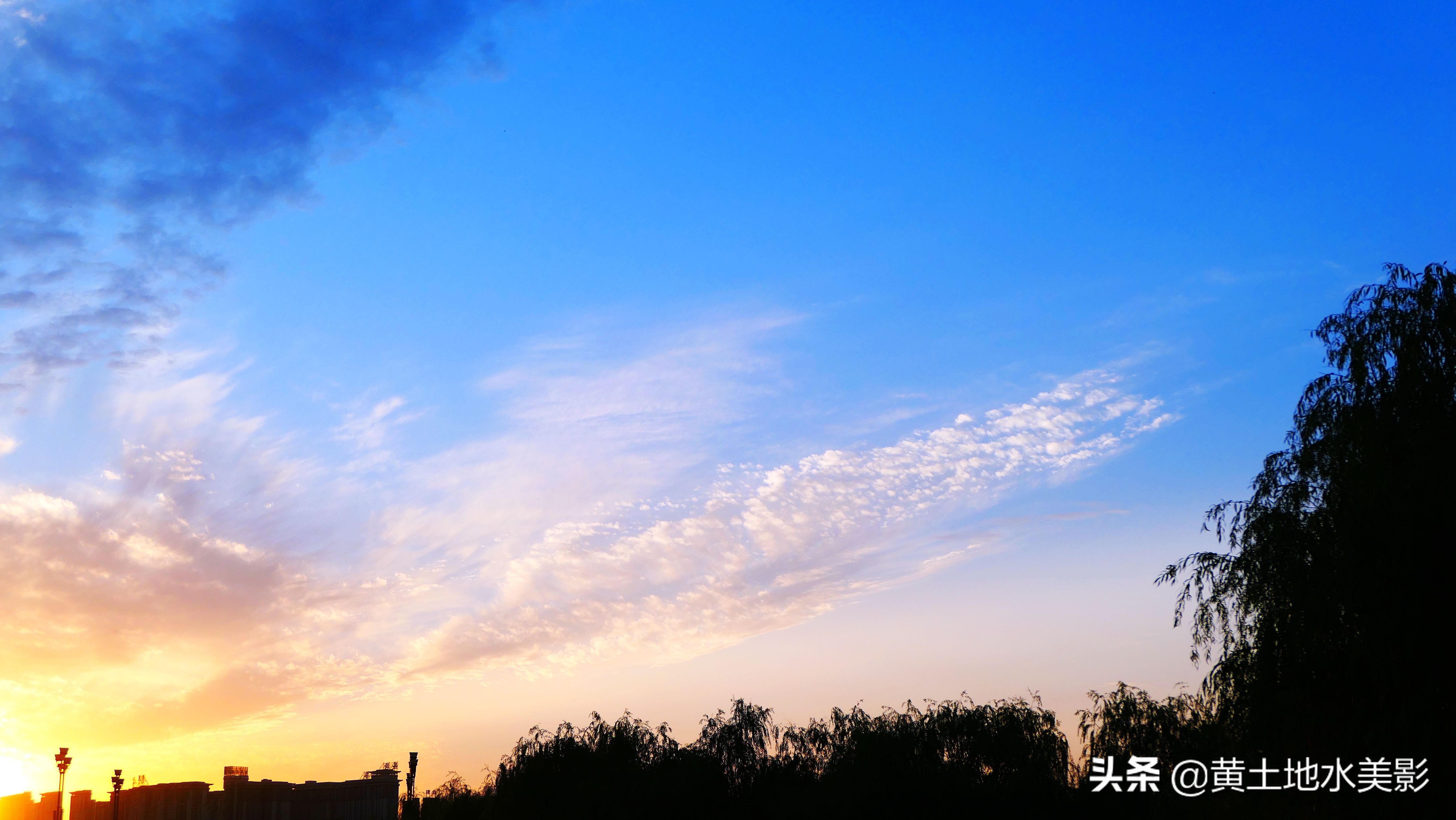 占地590亩的湿地公园,野生动物比较多的旅游景区