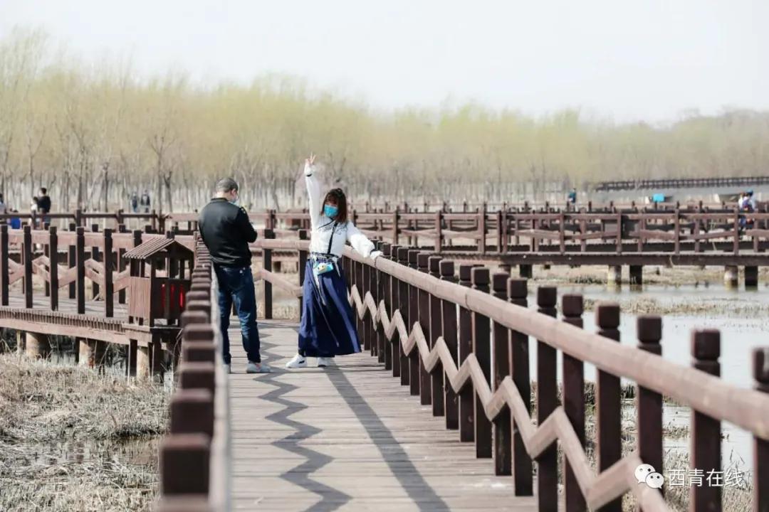 天津东疆港亲海公园今天开放吗,天津将新添一座公园预计开放时间