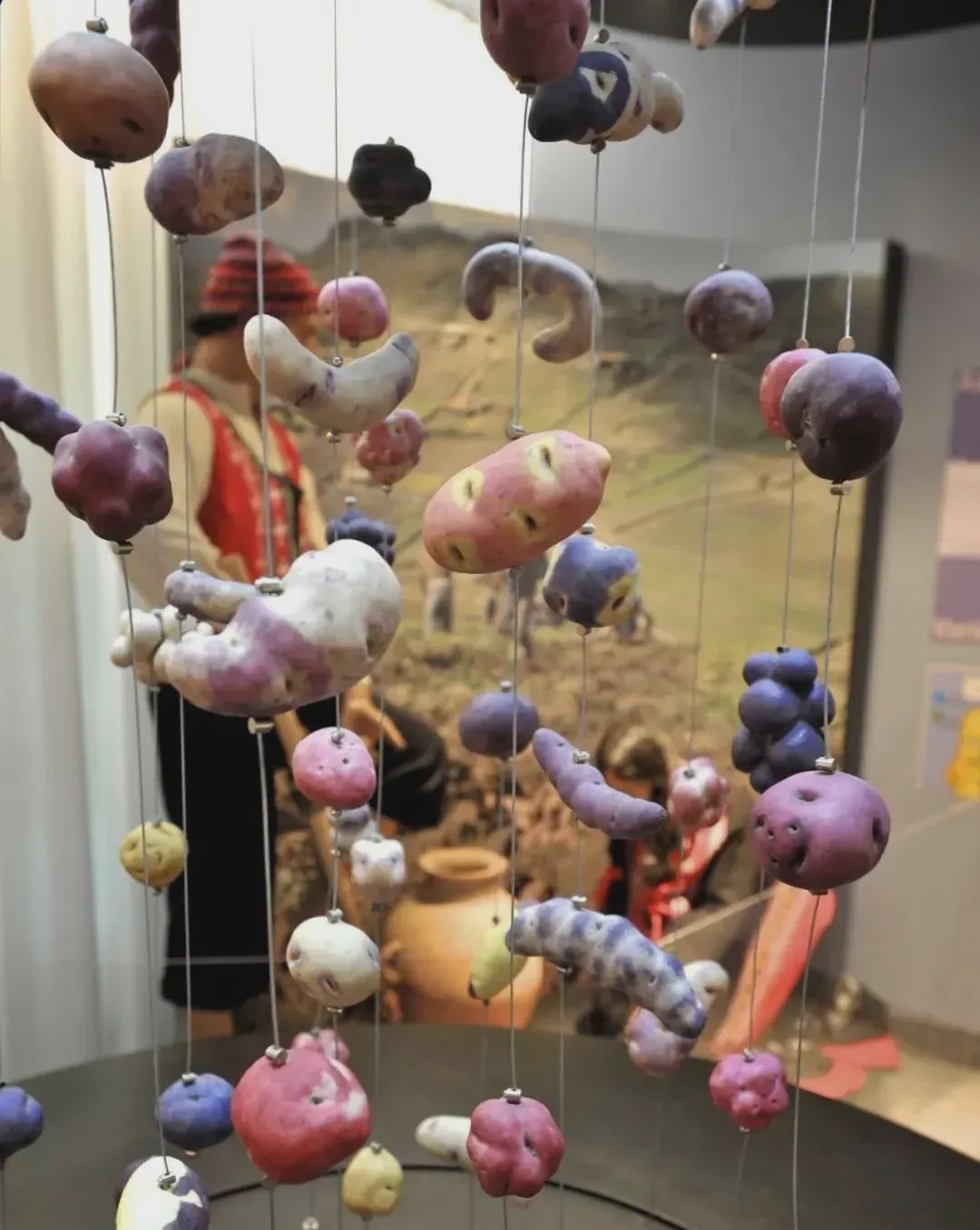 南京可口可乐、广西米粉博物馆...人类还有什么想不到的?