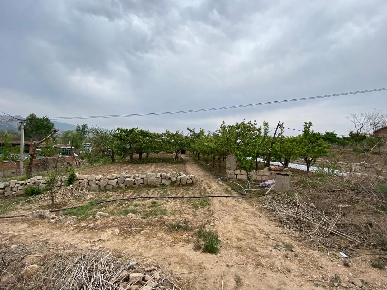 【7/5】29、搬倒井后太爷墓