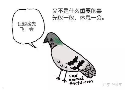 想象中不一样的动物冷知识,悲伤的动物视频