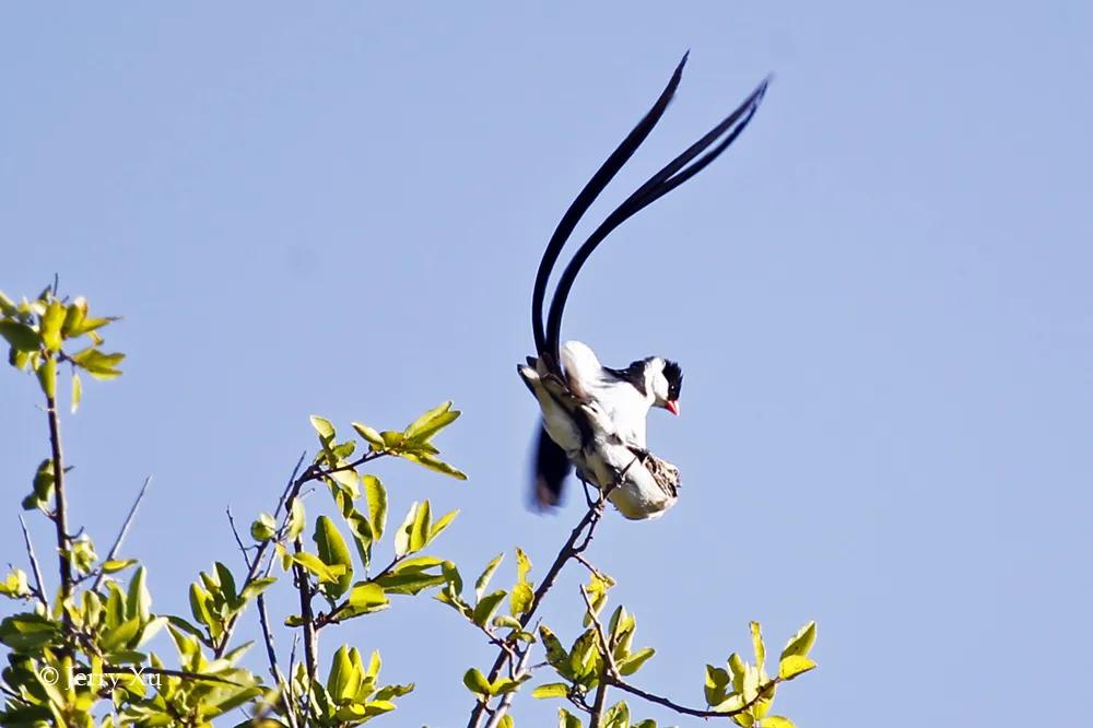 情人节适合干什么事,情人节对方做过最让你感动的事