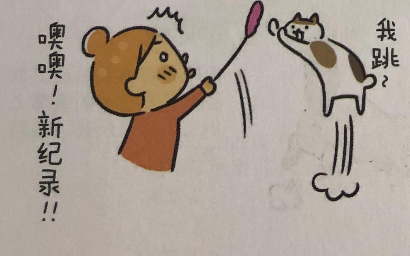 猫咪的玩具怎么动手操作呢,日常生活中该如何做猫咪的玩具