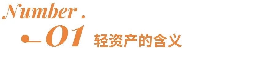 实体店轻资产创业成功案例,实体店轻资产创业项目有哪些