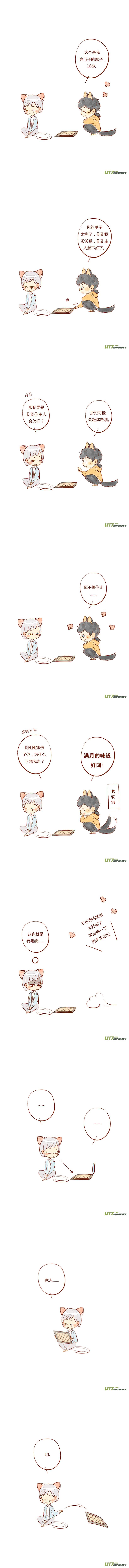 哈士奇无聊挑衅猫,二哈挑衅猫视频