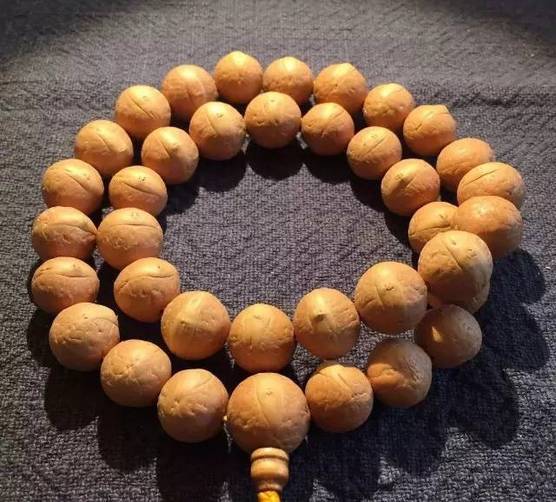 凤眼菩提眼睛漏了怎么办,凤眼菩提的眼睛各种形状