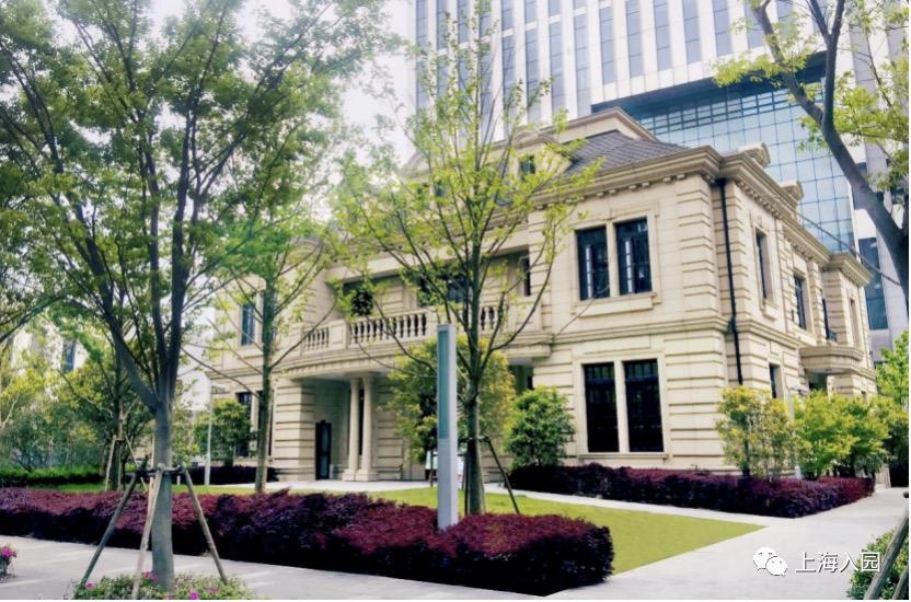 上海幼儿园插班,上海公立幼儿园有开放日吗