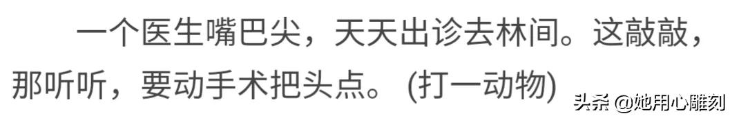 带有三个谜语的手工灯笼,灯笼的谜语简单幼儿园