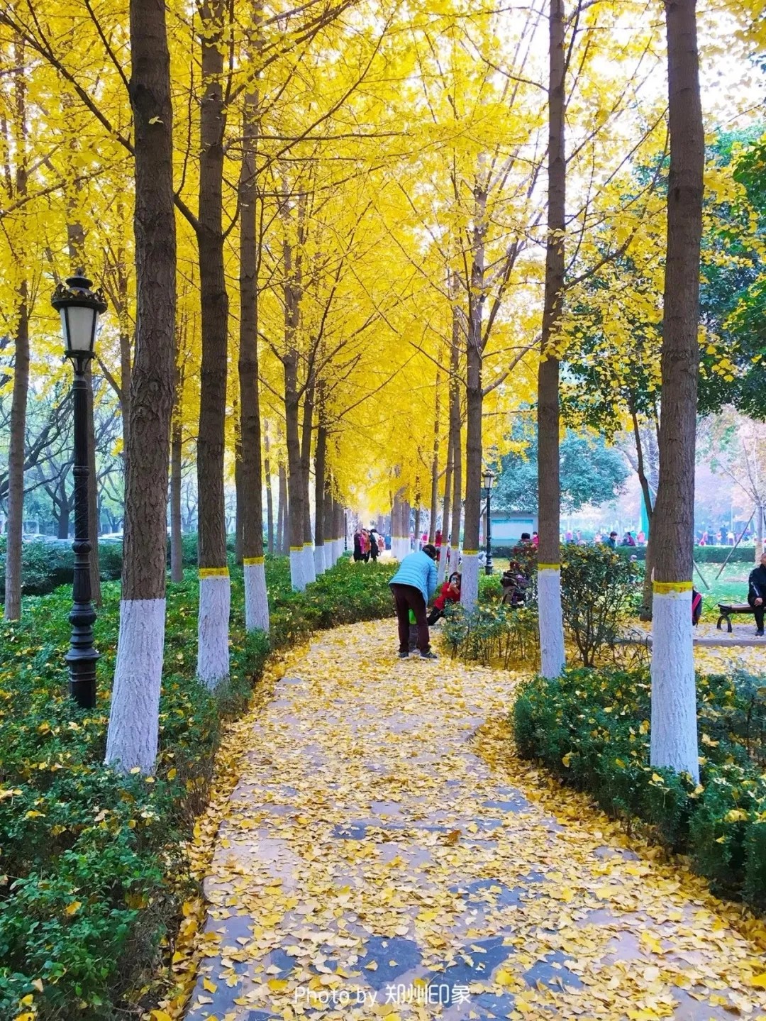 郑州长寿山旅游景点免费开放,郑州只有河南景点免费吗