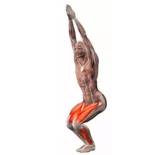 锻炼髂腰肌最有效方法图解,不懂健身动作练到的肌肉