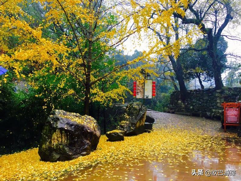 绍兴古道攻略一日游自由行,此生必去的三条国道