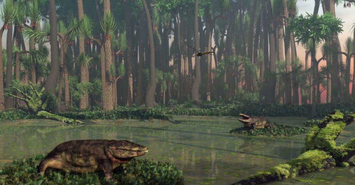 迷雾中的巨型生物大蜈蚣,远古生物长三米的巨大蜈蚣