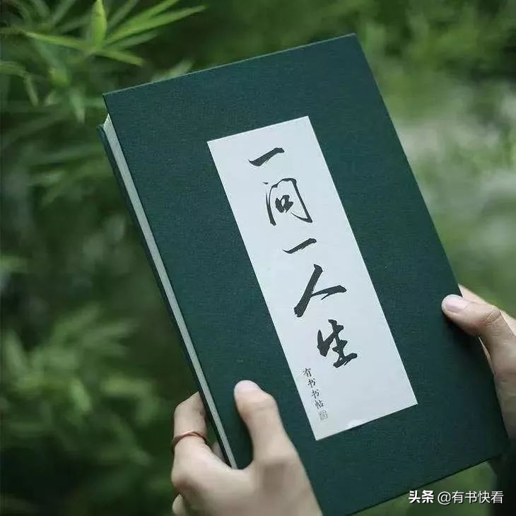 45岁徐静蕾简介,46岁徐静蕾水彩书法