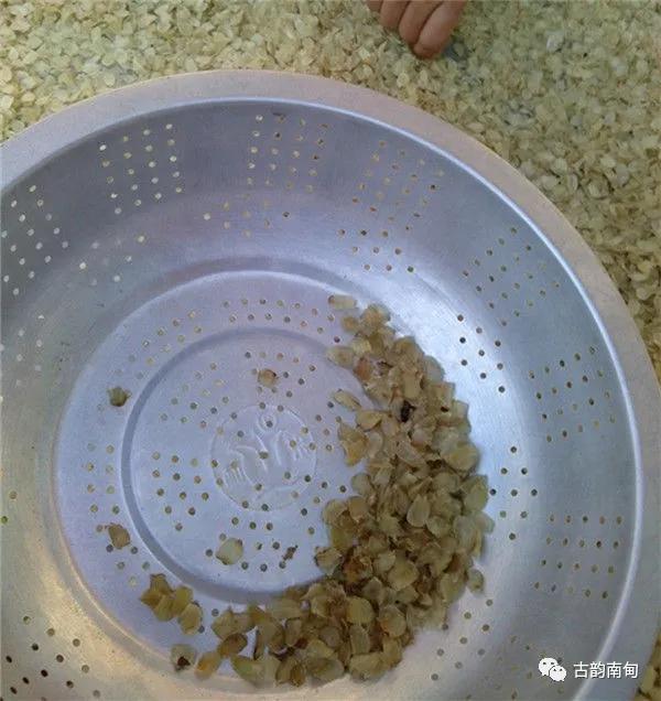 姊佹渤鐗硅壊缇庨,姊佹渤鐗硅壊缇庨鎺ㄨ崘