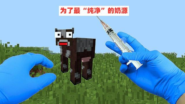 我的世界五个长得像村民的生物,我的世界各种能被驯服的生物