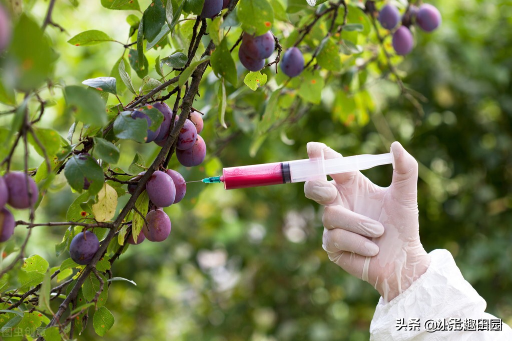 生态农业的优势及前景,生态农业发展存在的问题